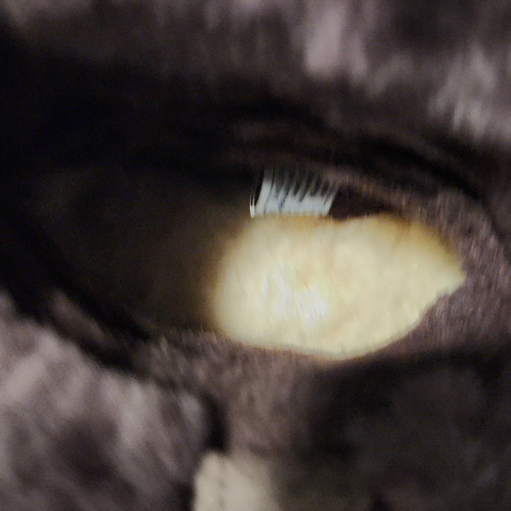 Sold - Picture 3 of 9